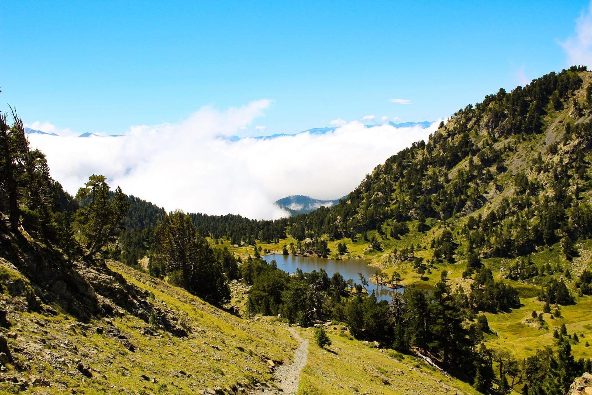 Le T2 Douillet D'Uriage - Residence Le Louvre - Cure Thermale Uriage- Proche Chamrousse - Jusqu'A 3 Personnes - Region Agreable En Toute Saison Vaulnaveys-le-Haut Bagian luar foto